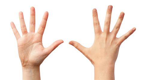 left  left  kawai australia