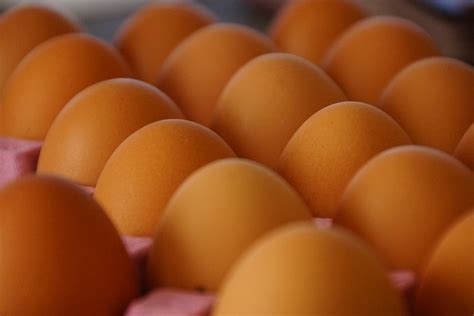 Huevos Brown Bandeja Aves De - Foto gratis en Pixabay - Pixabay