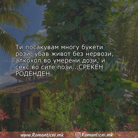 Роденденски пораки 5 | Rodendenski poraki на Романтични.мк
