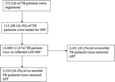 An evaluation of collaboration in the TB and HIV control programme in