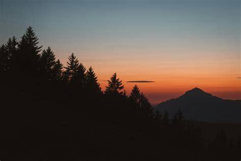 Scarlett+Johansson+Images+In+A+Bikini Photos, Download The BEST Free