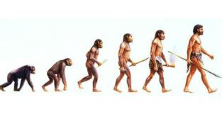 Teoria da Evolução: como se deu o desenvolvimento das espécies