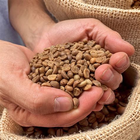 Gardelli specialty coffees on LinkedIn: MZUNGU PROJECT AND ITS SPECIAL ...