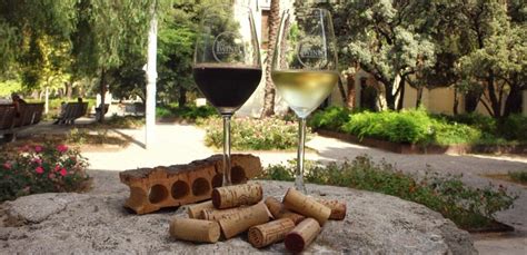 Vino perfecto para regalar ¿Cómo elegirlo? | Blog de vino de Mark O'Neill