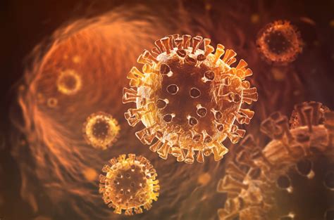 What is an antibody test? | Forme Medical Center | NY