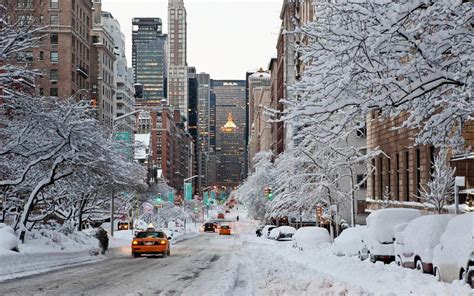 winter snow  york city  pondering mind