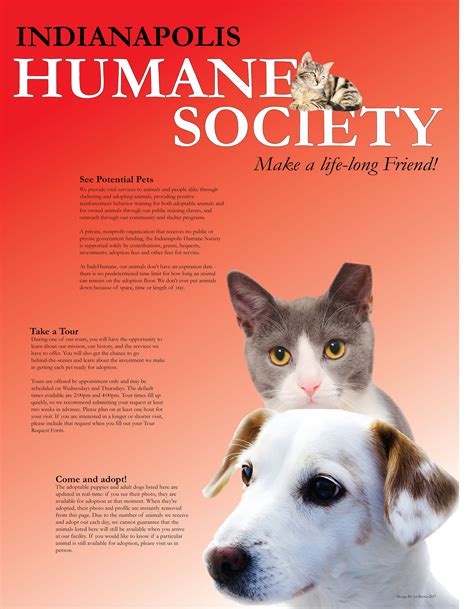 Animal Shelter Poster on Behance