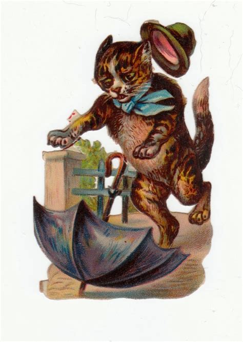 The Paper Collector: Rainy day cat scrap