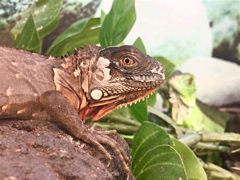 Islip, NY Vacation Rentals: house rentals & more | Vrbo