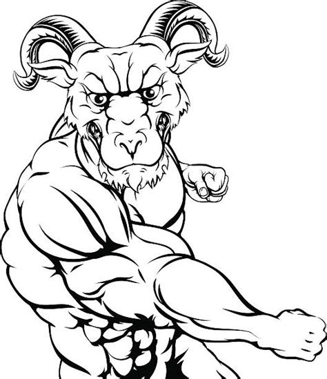 Best Rams Sheep Fighting Cartoon Illustrations, Royalty-Free Vector Graphics & Clip Art - iStock