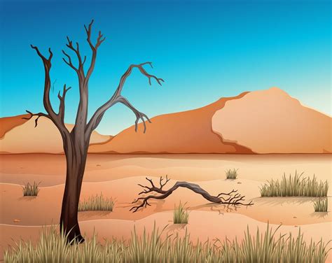 Пустыни | Nature background images, Drawing scenery, Green background video