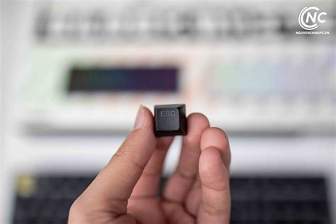 Bàn Phím Cơ AKKO 3098B Plus Black RGB Chính hãng