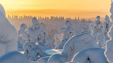 Adventures & Experiences in Lapland | Visit Finnish Lapland