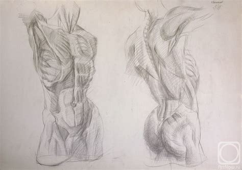 ART: Academic drawing Картина. Юдаев-Рачей Юрий. Мужской торс. Мышечная ...