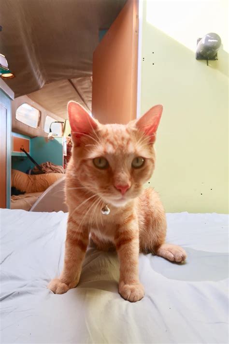 Sailing Life Day 44: Our Day in Provo, Turks and Caicos : Cleared In