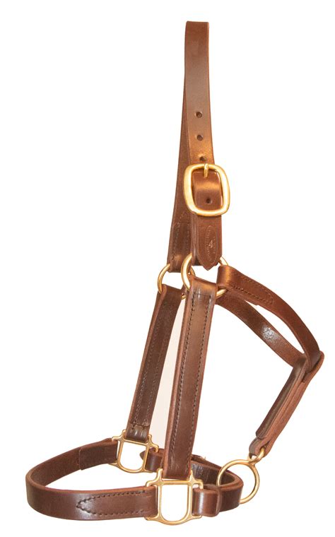 Bourbon Turnout - Custom Leather Horse Halters & Tack | Quillin Leather