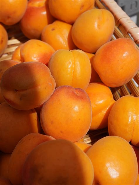 Fair Haven Farmers Market (@fairhavenfarmersmarket) • Instagram photos