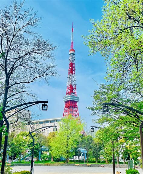 April summer day - JUNGLE TOKYO