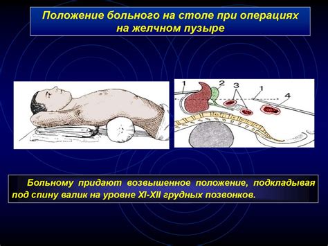 Топографическая анатомия и оперативная хирургия печени, желчного пузыря ...
