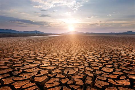 Desertificação O Que É - Desertificação: o que é, causas, consequências