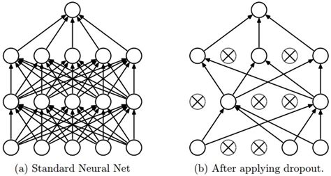 Analysis of Dropout – P. Galeone's blog