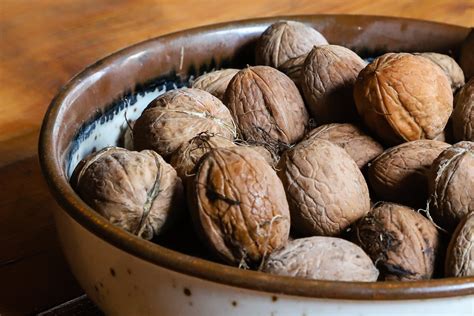 Nuts Harvest Fresh - Free photo on Pixabay