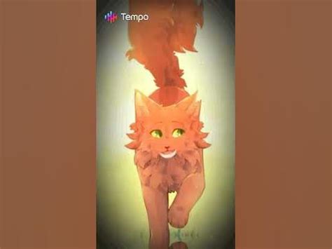 коты воители😻 решила прочитать книги😺 - YouTube