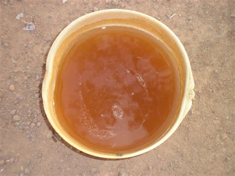 calebasse de dolo, Burkina, Nouna 2012 | Burkina, Dolo, Burkina faso