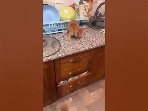 Персик🍑😂 - YouTube