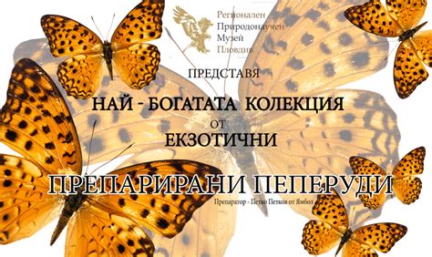 НАЙ-БОГАТА КОЛЕКЦИЯ ОТ ЕКЗОТИЧНИ ПРЕПАРИРАНИ ПЕПЕРУДИ | visitplovdiv.com