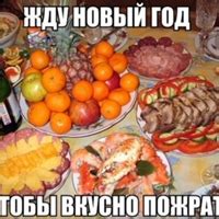 | здесь расказываетса о обитании тюленя жырленя в природе 2024 | ВКонтакте