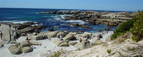 sandy bay beach  cape town