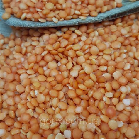 Чечевица красная 1 кг: продажа, цена в Харькове. Бобовые культуры от ...