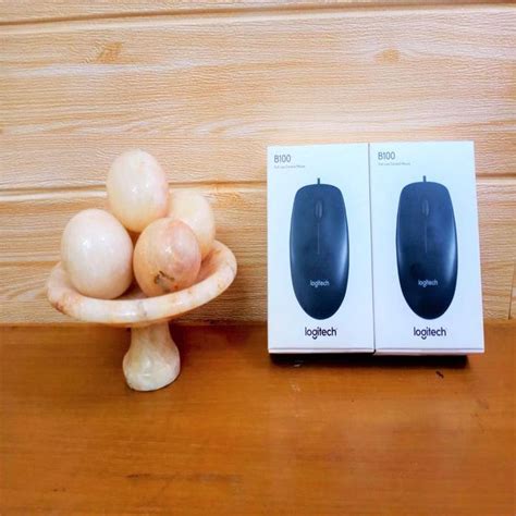 Mouse Logitech B100