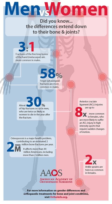 Sex and musculoskeletal health: differences between males and females