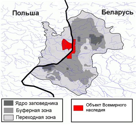 Где находится Беловежская пуща в Белоруссии?