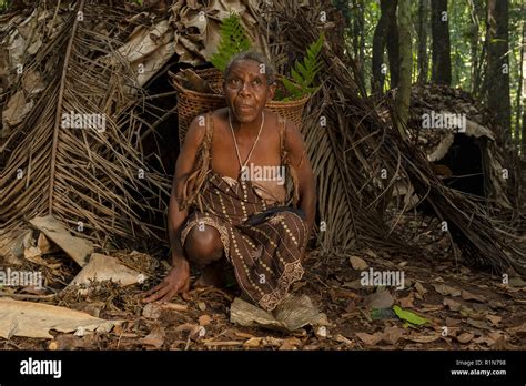Pigmei africani immagini e fotografie stock ad alta risoluzione - Alamy