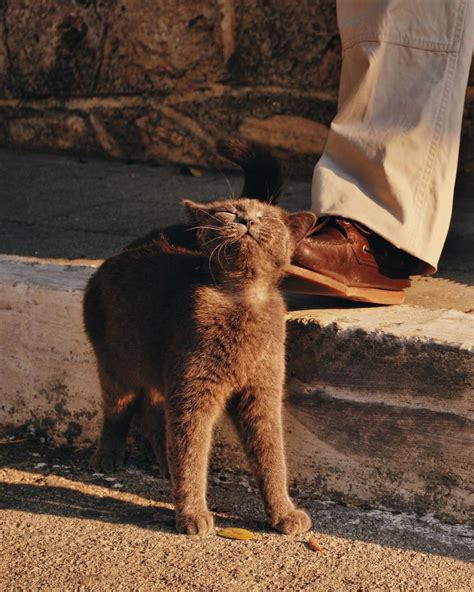 тъжен човек, с усмихнато лице : ) on Tumblr