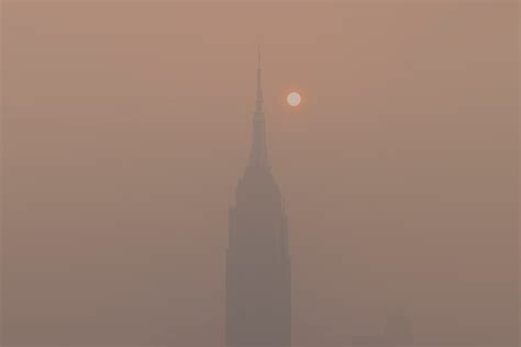 NYC Food Policy Center June 2023 Food Flash