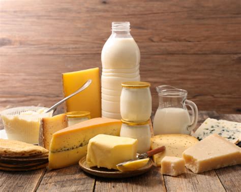 Alimento Lácteo Produzido Depois Da Fermentação - Como funciona o processo de Fermentação? - Protos Biotec Jr.