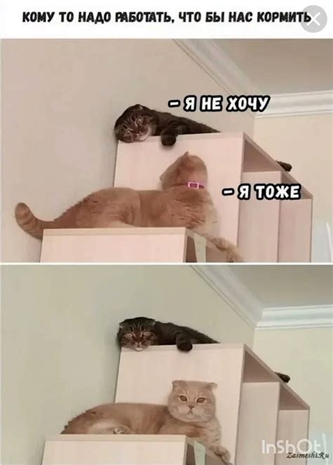 Мем#мемы#memes# - YouTube