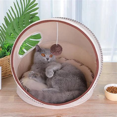 Кровать для котенка своими руками: Лежанка для кошки своими руками (70 ...
