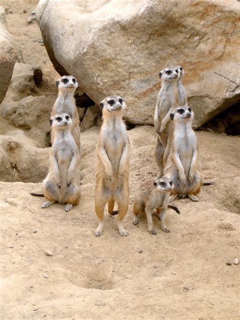 funny zoo animal photos 3