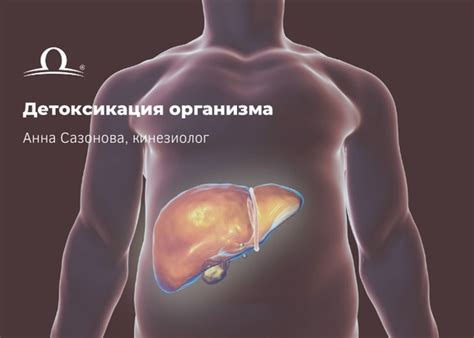 ДЕТОКСИКАЦИЯ! Зачем она нужна? Детоксикация или очищение организма ...