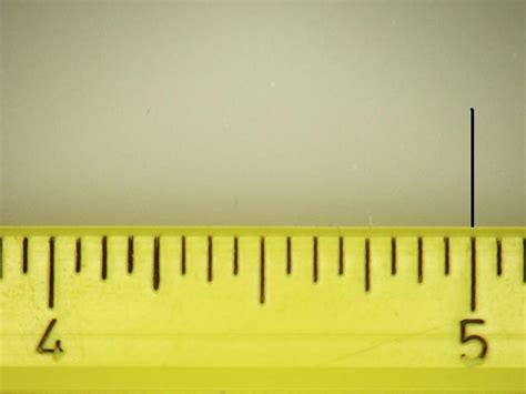 quia reading  ruler  eighths