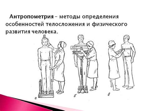 Антропометрия - презентация онлайн