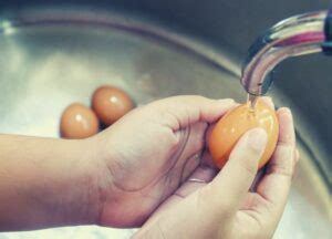 how long to steam eggs in a steamer