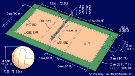 [하이큐] 배구 배경지식 1탄 (기본 + 코트 구성 + 경기 규칙) : 네이버 블로그