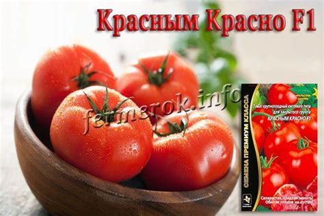 Томат Красным Красно F1: описание сорта, фото, отзывы, уход
