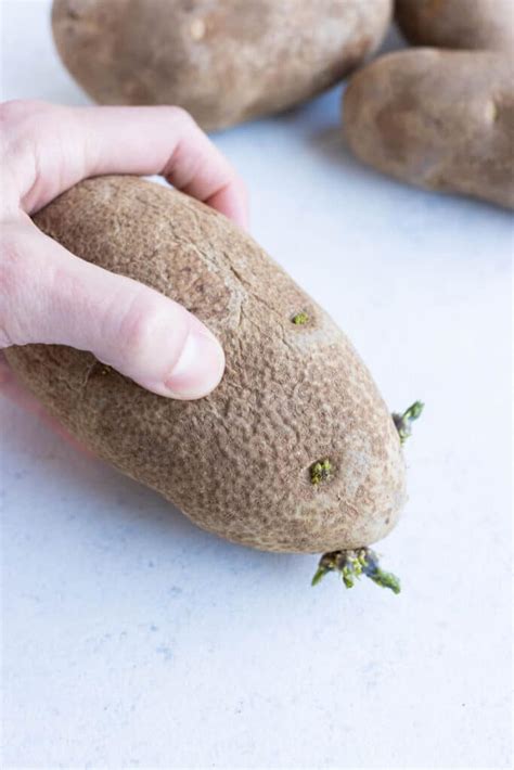 Are Sprouted Potatoes Safe to Eat? - Evolving Table